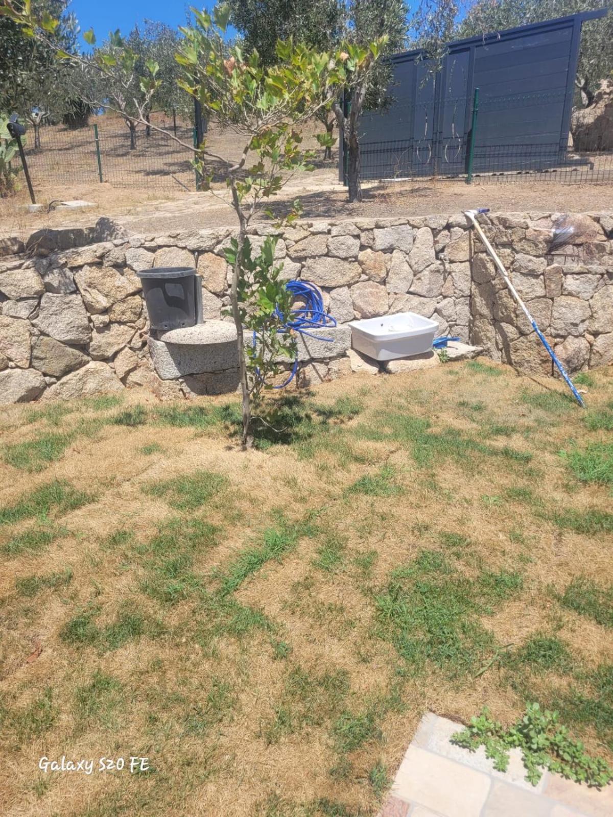 דירות אולביה Residenza Degli Ulivi מראה חיצוני תמונה