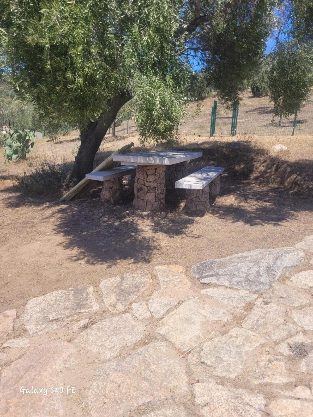 דירות אולביה Residenza Degli Ulivi מראה חיצוני תמונה